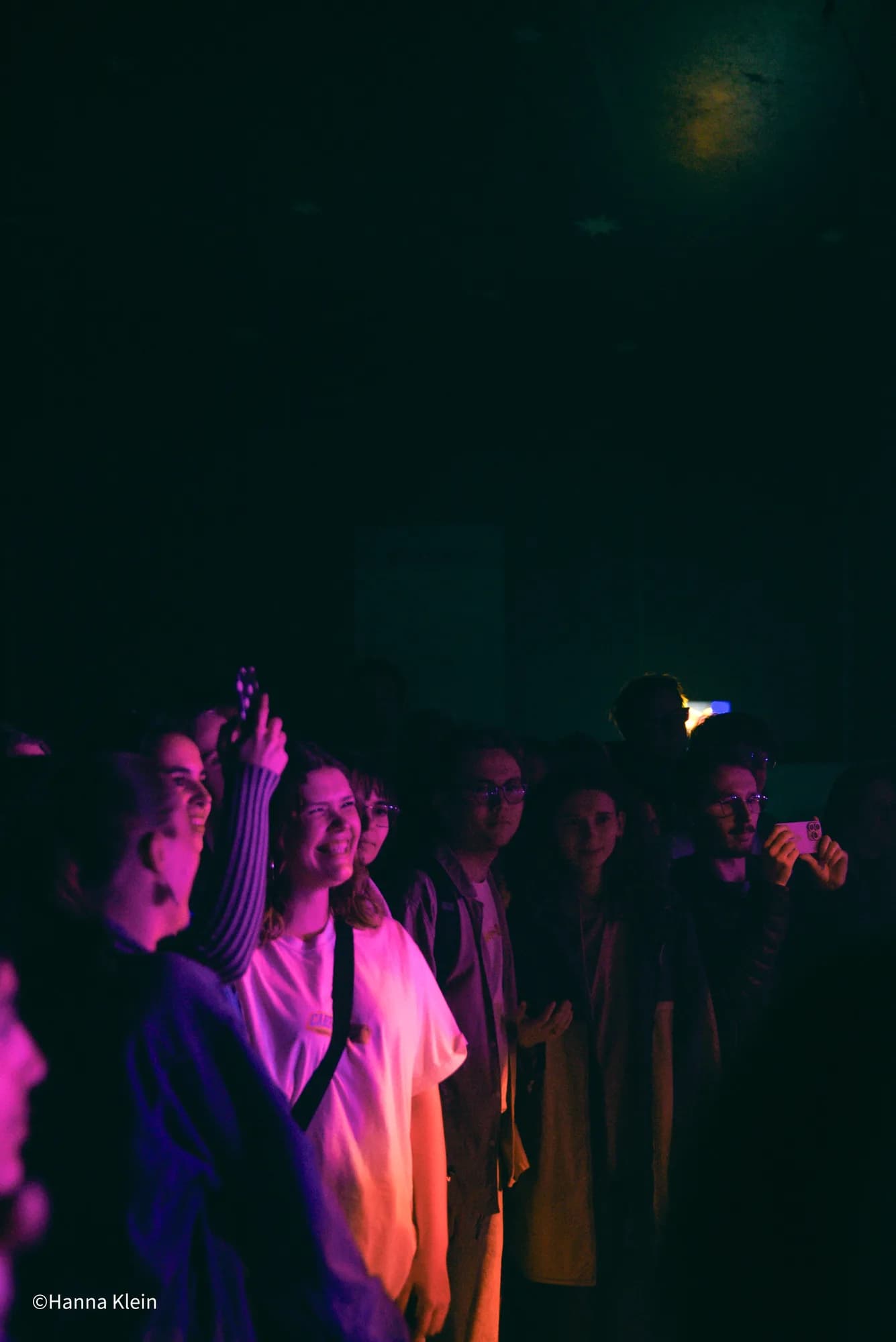 Audience Pink Purple Silhouettes