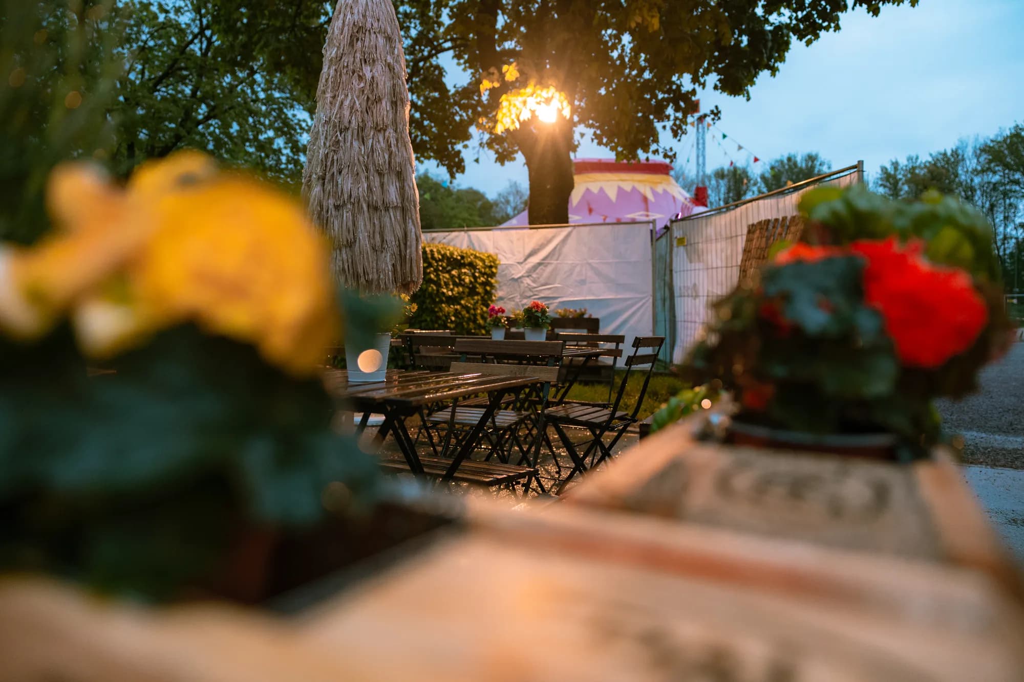 A view of the empty beer garden seating area at dusk with a pink and white tent visible in the background.