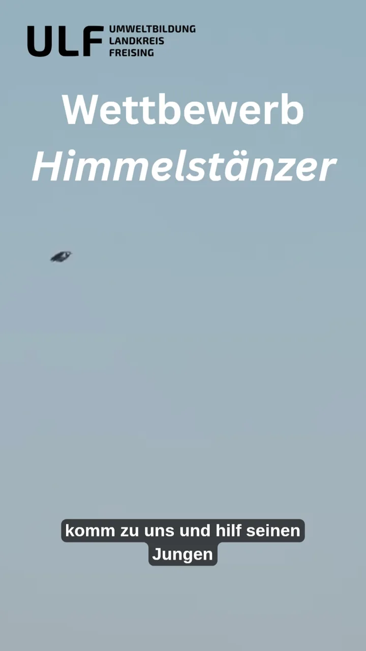 Wettbewerb Himmelstänzer